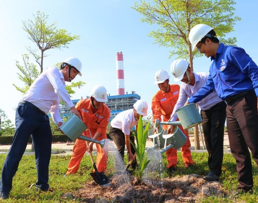 Nhiệt điện Vĩnh Tân trồng cây, bảo vệ môi trường