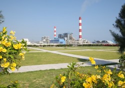 99% nhà máy điện than mới tại Việt Nam không có lợi nhuận (?)