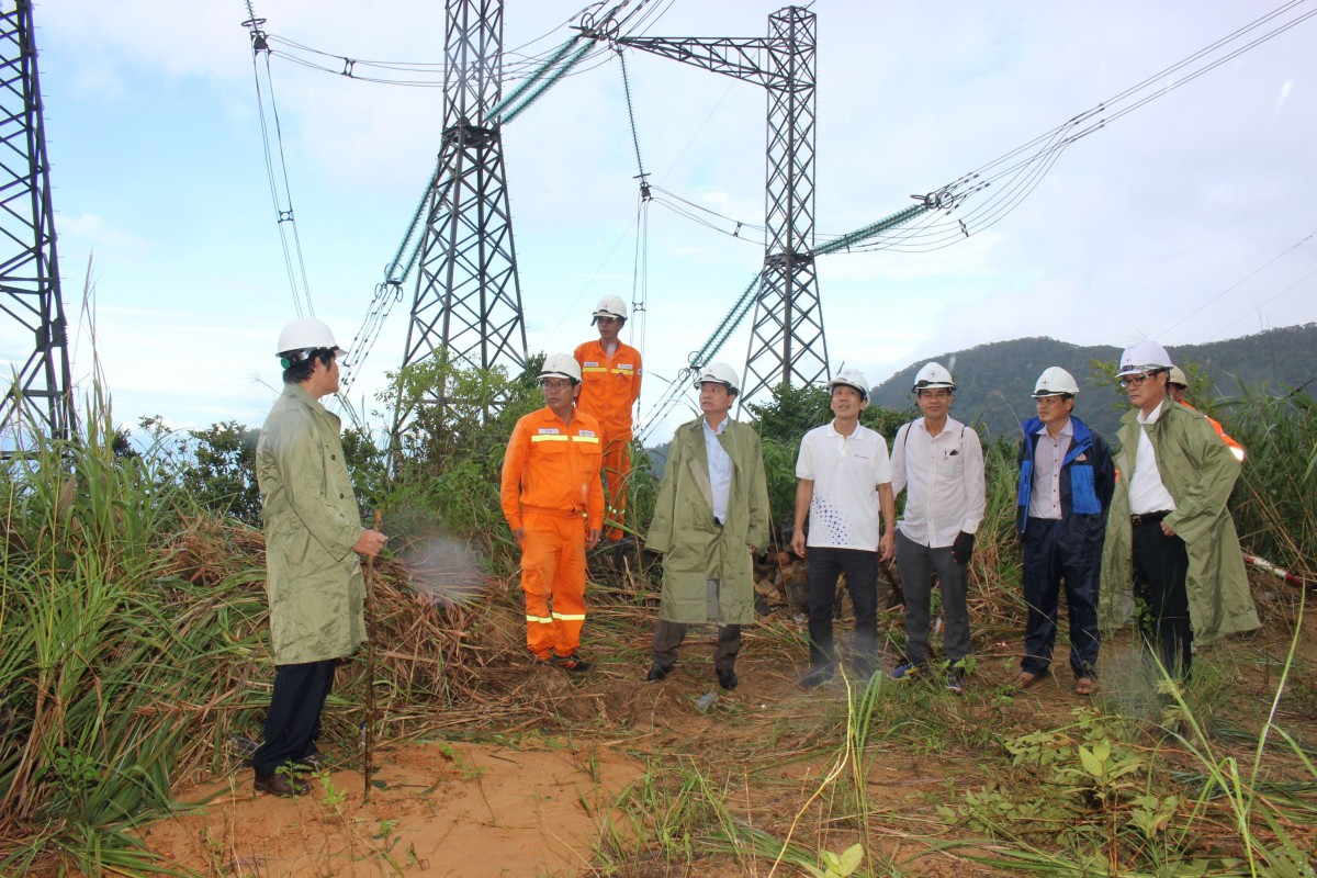 PTC2 hoàn thành kế hoạch sản lượng điện truyền tải năm 2024 (trước 32 ngày)