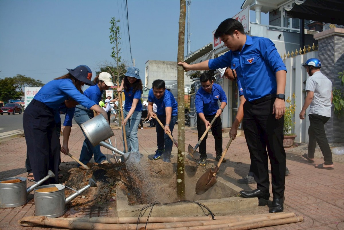 EVNSPC triển khai nhiều hoạt động hưởng ứng Chiến dịch Giờ Trái đất 2025