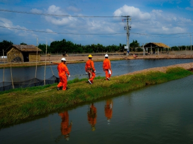 50 năm Tổng công ty Điện lực miền Nam: Tri ân lịch sử - Tự hào tiếp bước