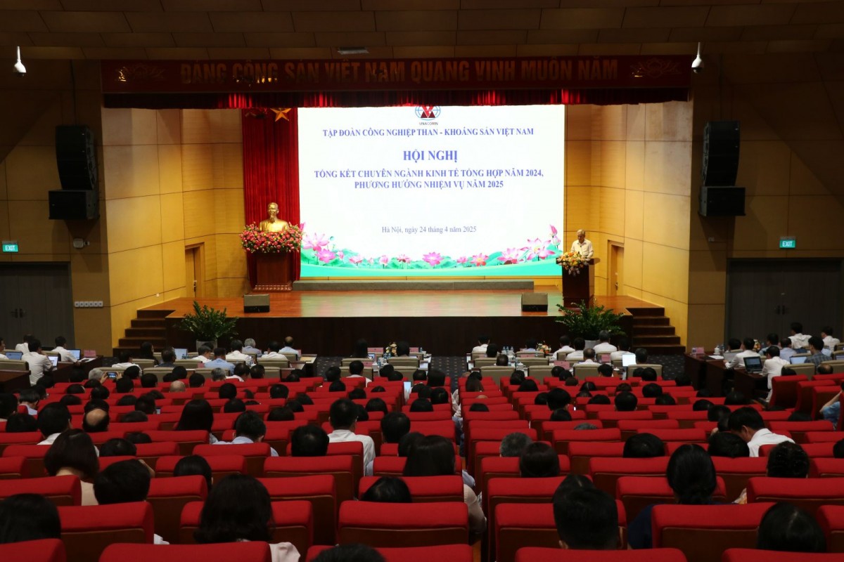 TKV triển khai nhiệm vụ chuyên ngành kinh tế tổng hợp năm 2025