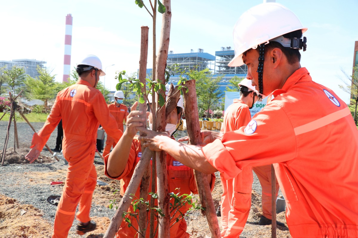 Trên 300 cây xanh được trồng thêm tại Nhà máy Nhiệt điện Vĩnh Tân 2