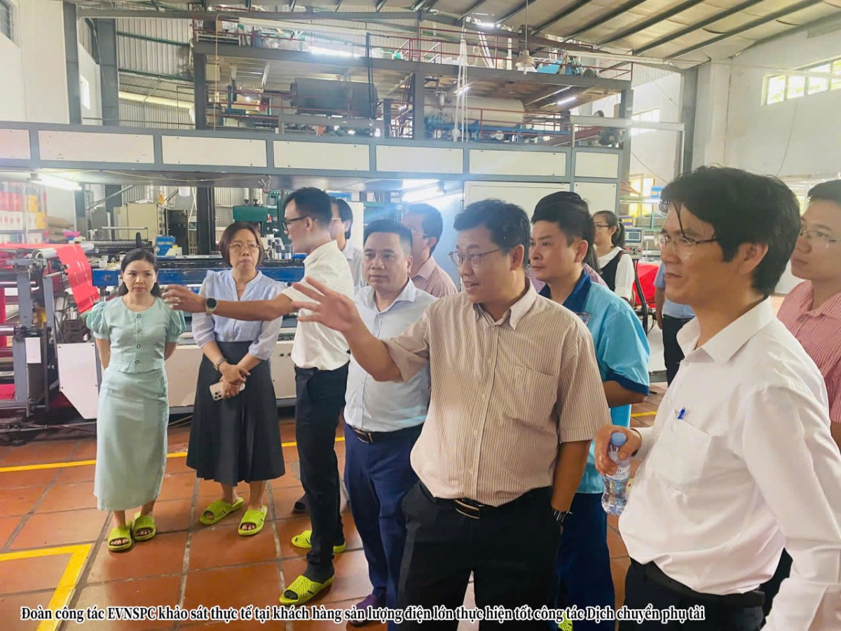 EVNSPC trao đổi kinh nghiệm về kiểm tra, giám sát mua bán điện, điều chỉnh phụ tải với EVNNPC và EVNHANOI