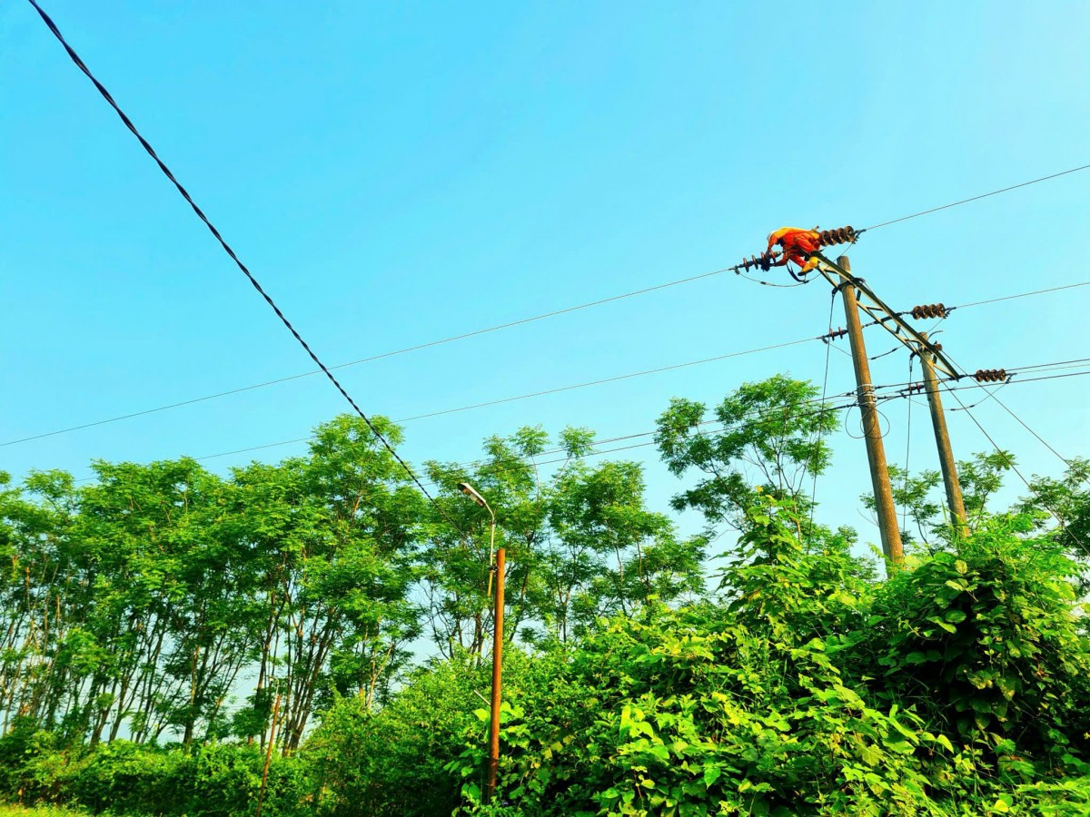 Tự hào người thợ điện Hương Sơn (Công ty Điện lực Hà Tĩnh)