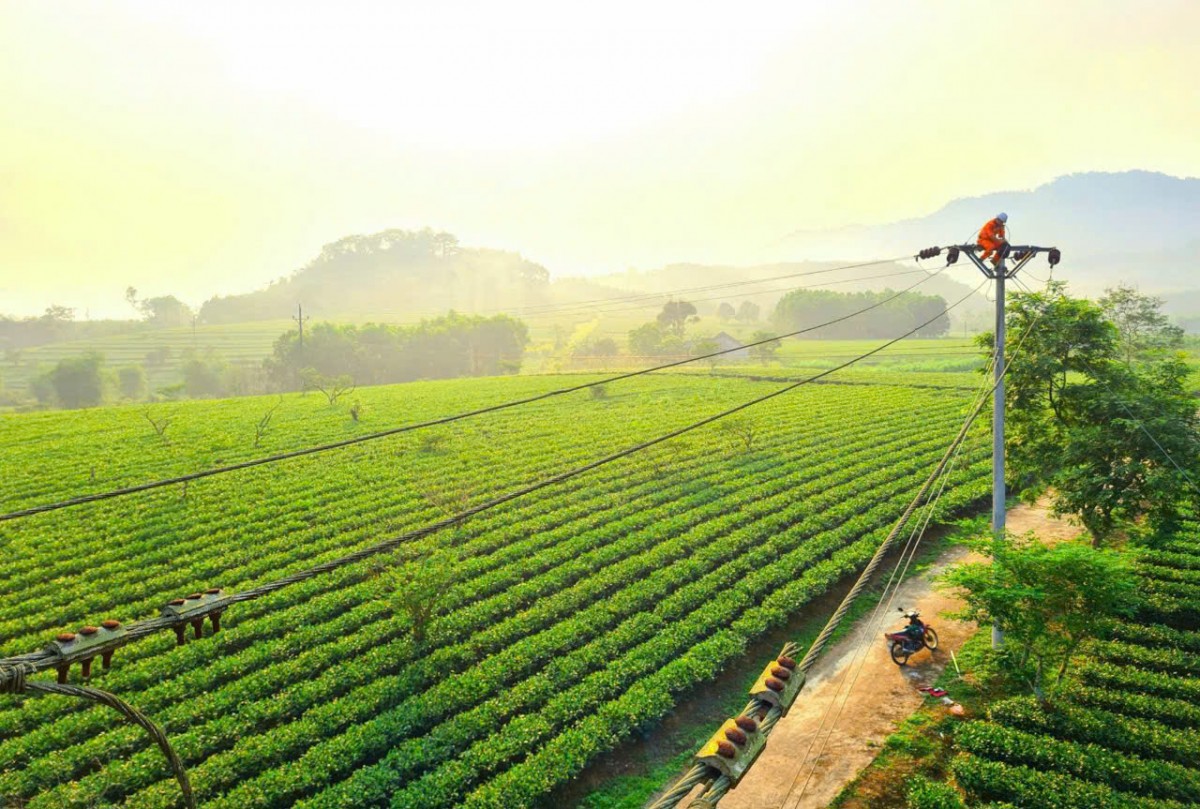 Tự hào người thợ điện Hương Sơn (Công ty Điện lực Hà Tĩnh)