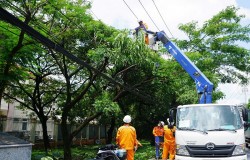 EVNHCMC tăng cường đảm bảo an toàn điện mùa mưa, bão