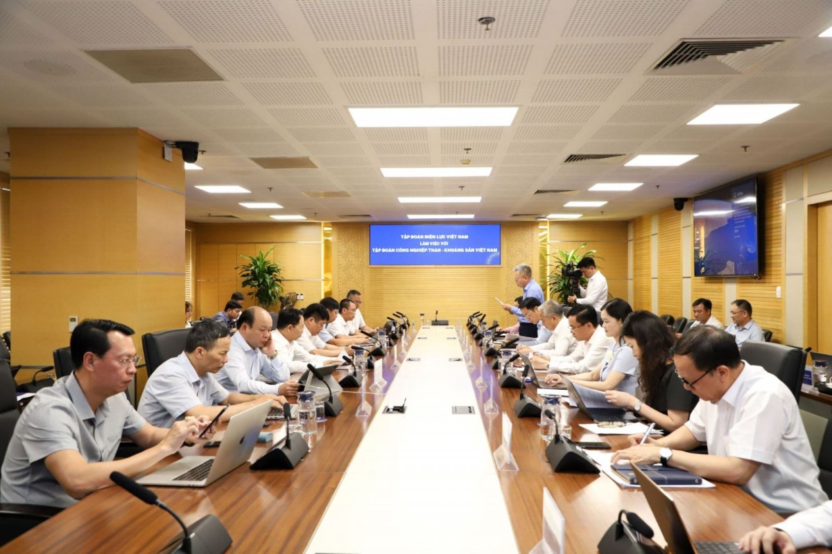 TKV và EVN bàn phối hợp cung cấp ổn định nguồn than cho sản xuất điện