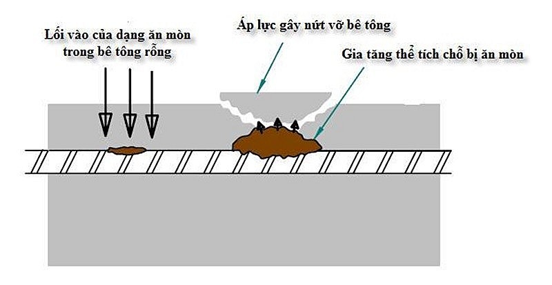 Kết cấu bê tông FRP - Giải pháp vật liệu mới cho hạ tầng năng lượng ven biển và ngoài khơi