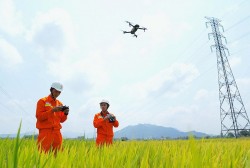 Công ty Truyền tải điện 3 - 35 năm vững bước từ nền tảng văn hóa doanh nghiệp