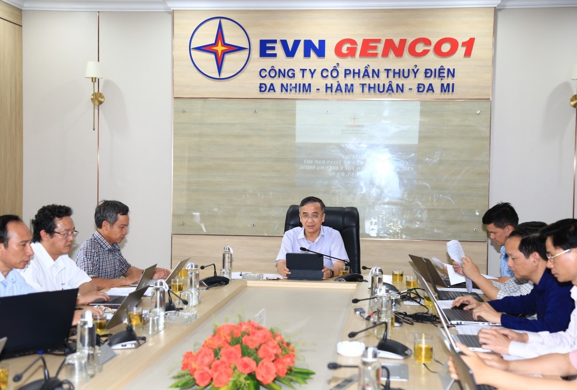 Lãnh đạo EVN làm việc với Công ty ĐHĐ về an toàn các đập thủy điện