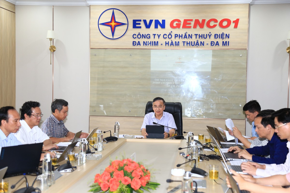 Lãnh đạo EVN làm việc với Công ty ĐHĐ về an toàn các đập thủy điện