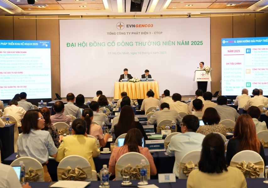 Tổng công ty Phát điện 3 phấn đấu hoàn thành kế hoạch năm 2025