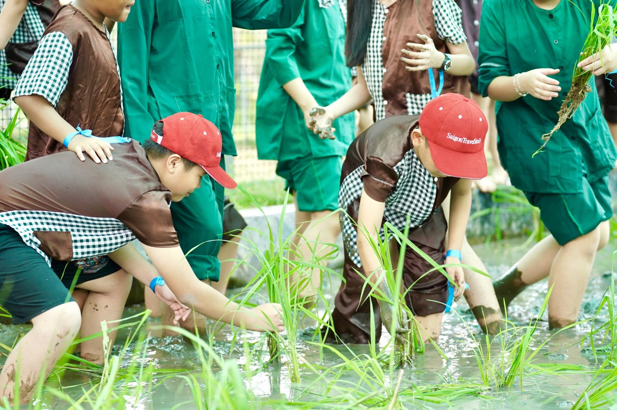 Công ty EPS tổ chức thành công chương trình ‘Ngày hội vui Tết Thiếu nhi’