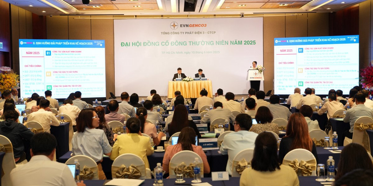 Tổng công ty Phát điện 3 phấn đấu hoàn thành kế hoạch năm 2025