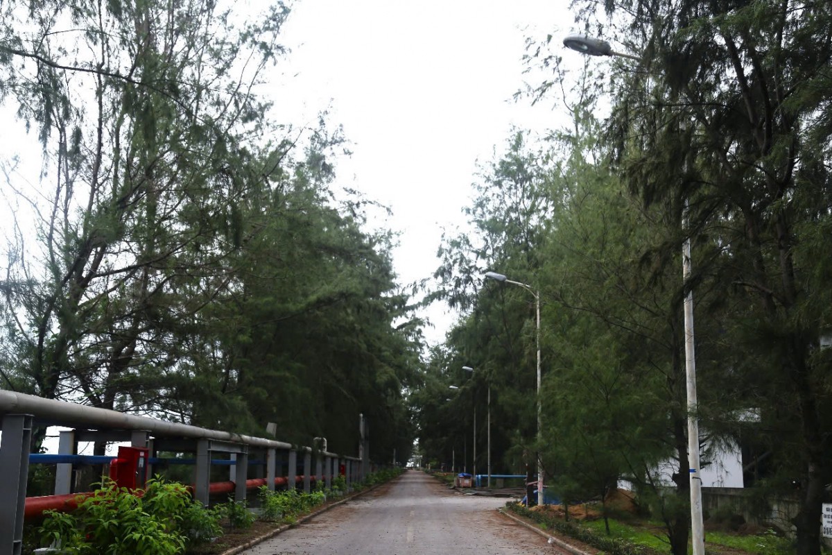 Nhiệt điện Duyên Hải - Sản xuất gắn với bảo vệ môi trường và phát triển bền vững