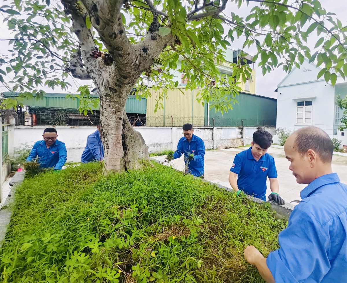 Đoàn Thanh niên Quacontrol lan tỏa tinh thần ‘Ngày Chủ nhật xanh’