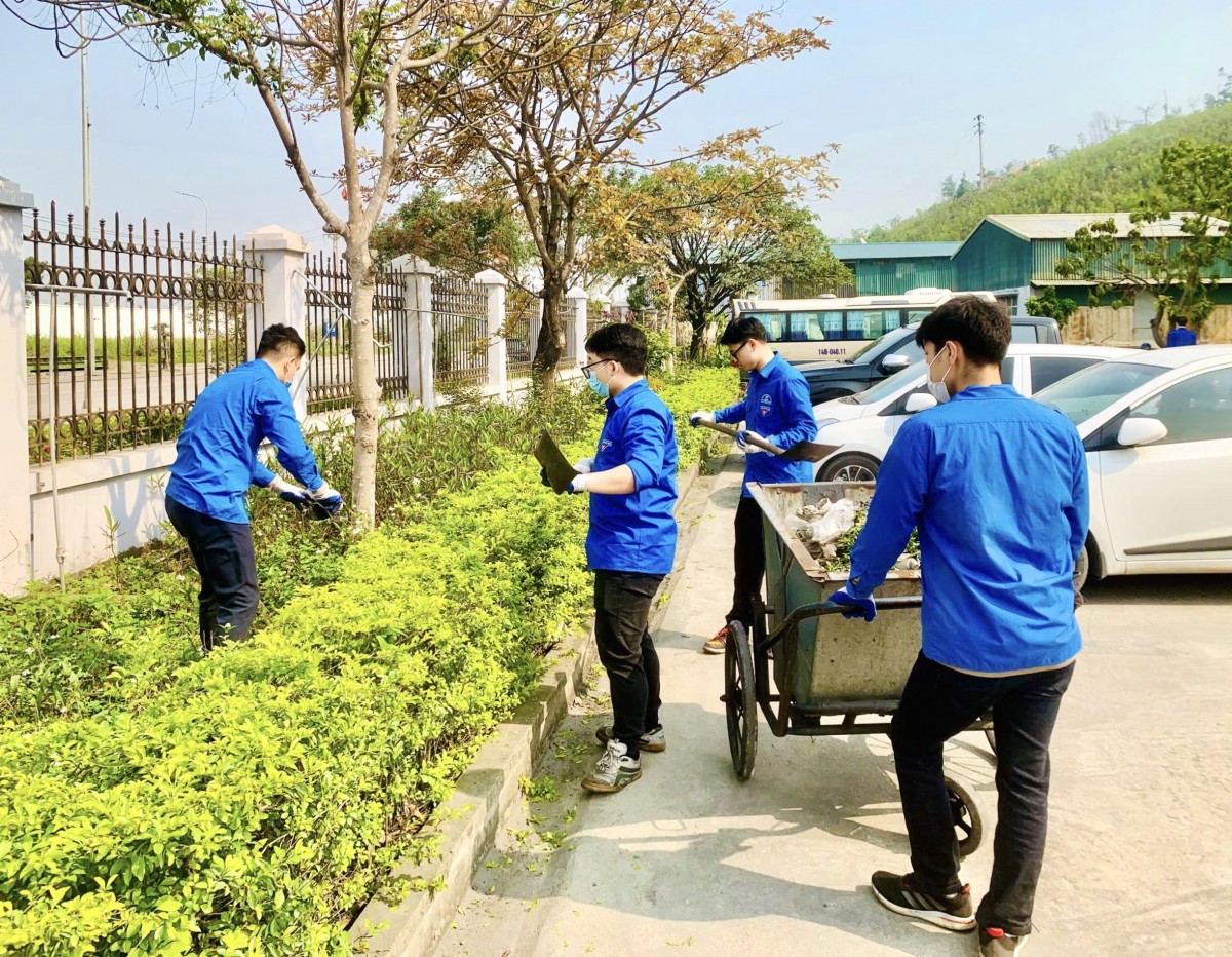Đoàn Thanh niên Quacontrol lan tỏa tinh thần ‘Ngày Chủ nhật xanh’