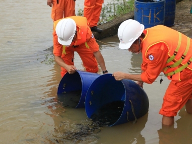 Công ty Thủy điện Buôn Kuốp thả cá giống, bảo vệ nguồn lợi thủy sản và môi trường