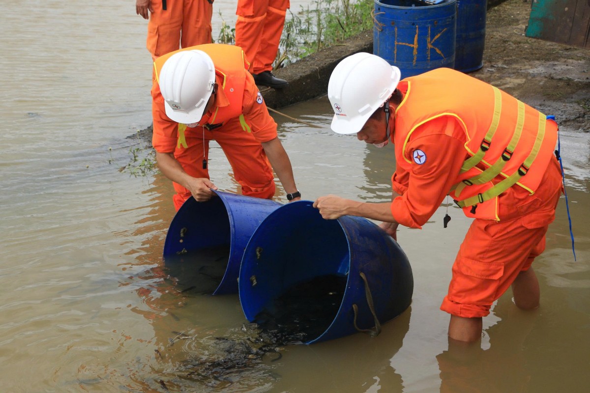 Công ty Thủy điện Buôn Kuốp thả cá giống, bảo vệ nguồn lợi thủy sản và môi trường