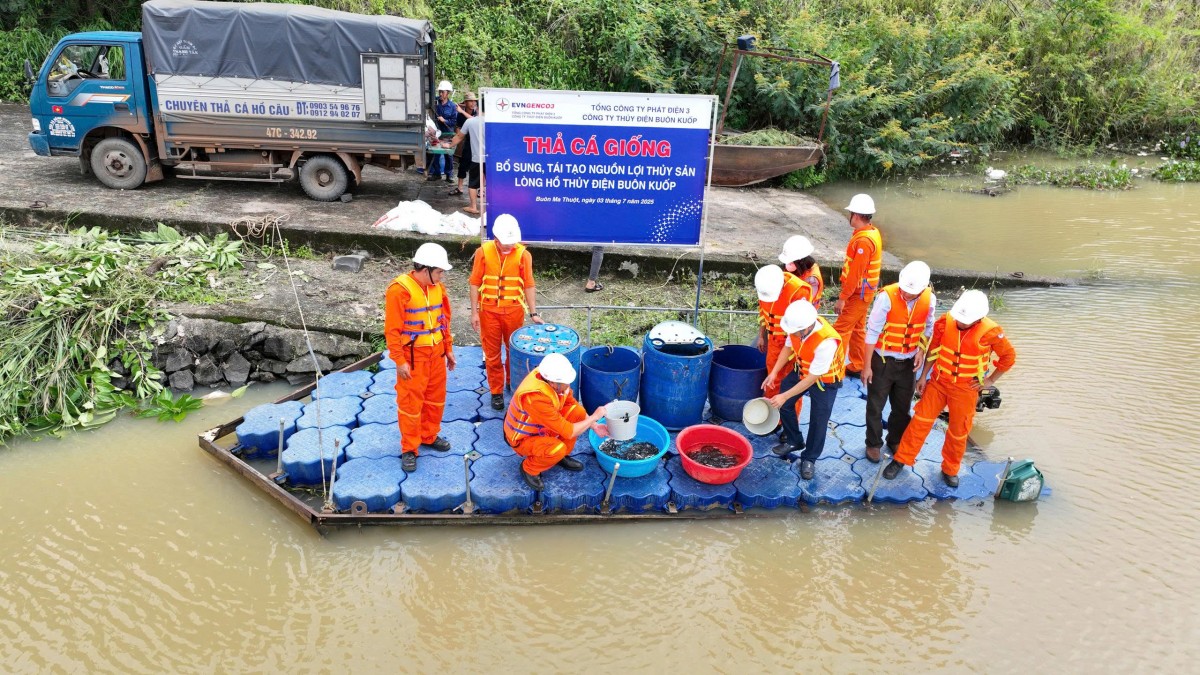 Công ty Thủy điện Buôn Kuốp thả cá giống, bảo vệ nguồn lợi thủy sản và môi trường