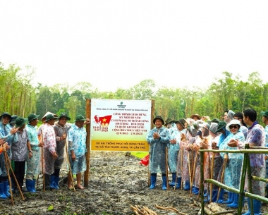 PV Drilling tài trợ 100.000 cây cho dự án trồng phục hồi rừng tràm khu vực vườn chim