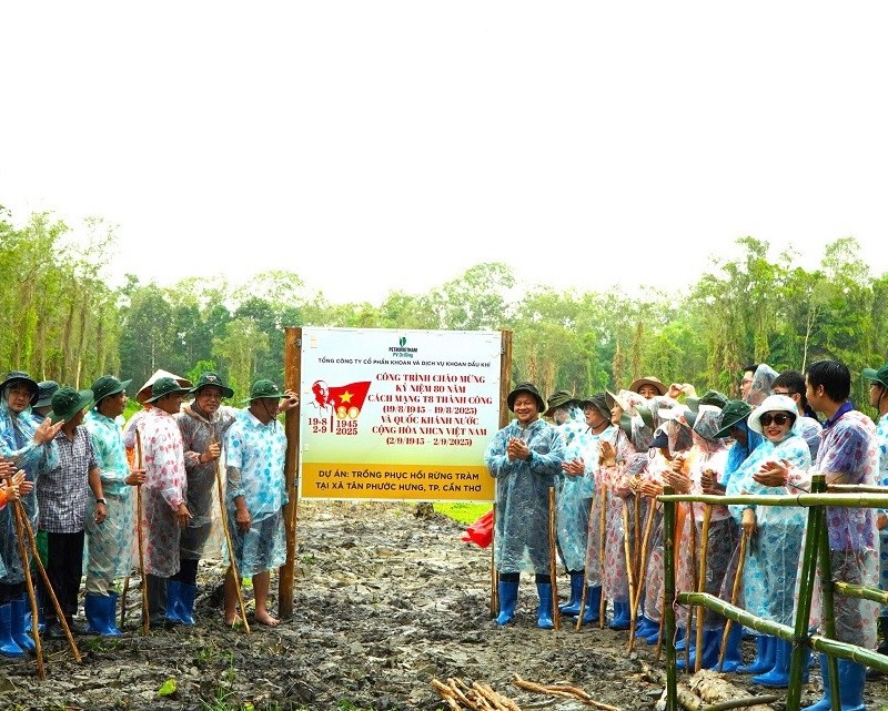 PV Drilling tài trợ 100.000 cây cho dự án trồng phục hồi rừng tràm khu vực vườn chim