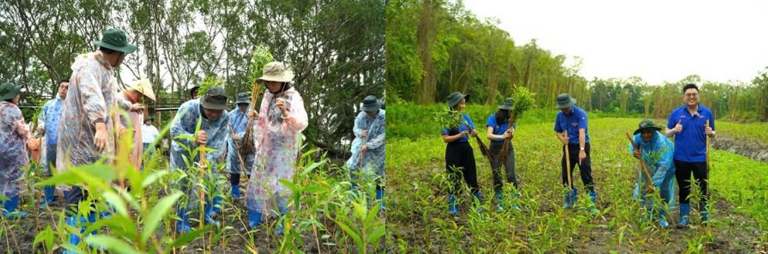 PV Drilling tài trợ 100.000 cây cho dự án trồng phục hồi rừng tràm khu vực vườn chim