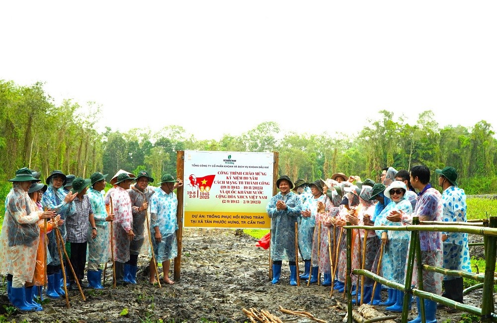 PV Drilling tài trợ 100.000 cây cho dự án trồng phục hồi rừng tràm khu vực vườn chim