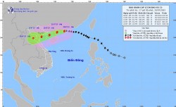 EVN yêu cầu các đơn vị thành viên ứng phó khẩn cấp  bão số 3 (Wipha)