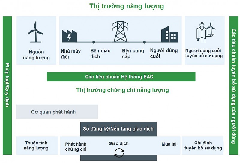 Vai trò Chứng chỉ năng lượng tái tạo (REC) trong chuyển dịch năng lượng ở Việt Nam