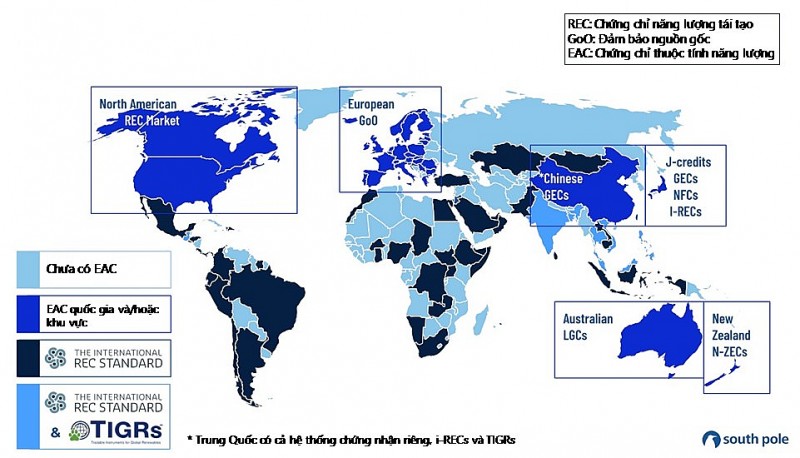 Vai trò Chứng chỉ năng lượng tái tạo (REC) trong chuyển dịch năng lượng ở Việt Nam