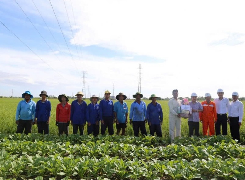 Hơn 800 người lao động làm việc trên các công trình điện của EVNSPC dịp Quốc khánh 2/9