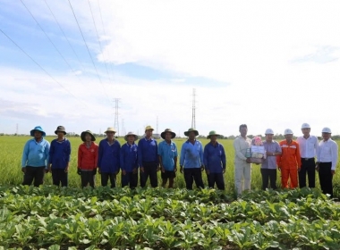 Hơn 800 người lao động làm việc trên các công trình điện của EVNSPC dịp Quốc khánh 2/9