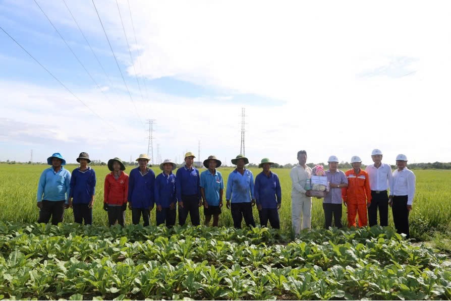 Hơn 800 người lao động làm việc trên các công trình điện của EVNSPC dịp Quốc khánh 2/9