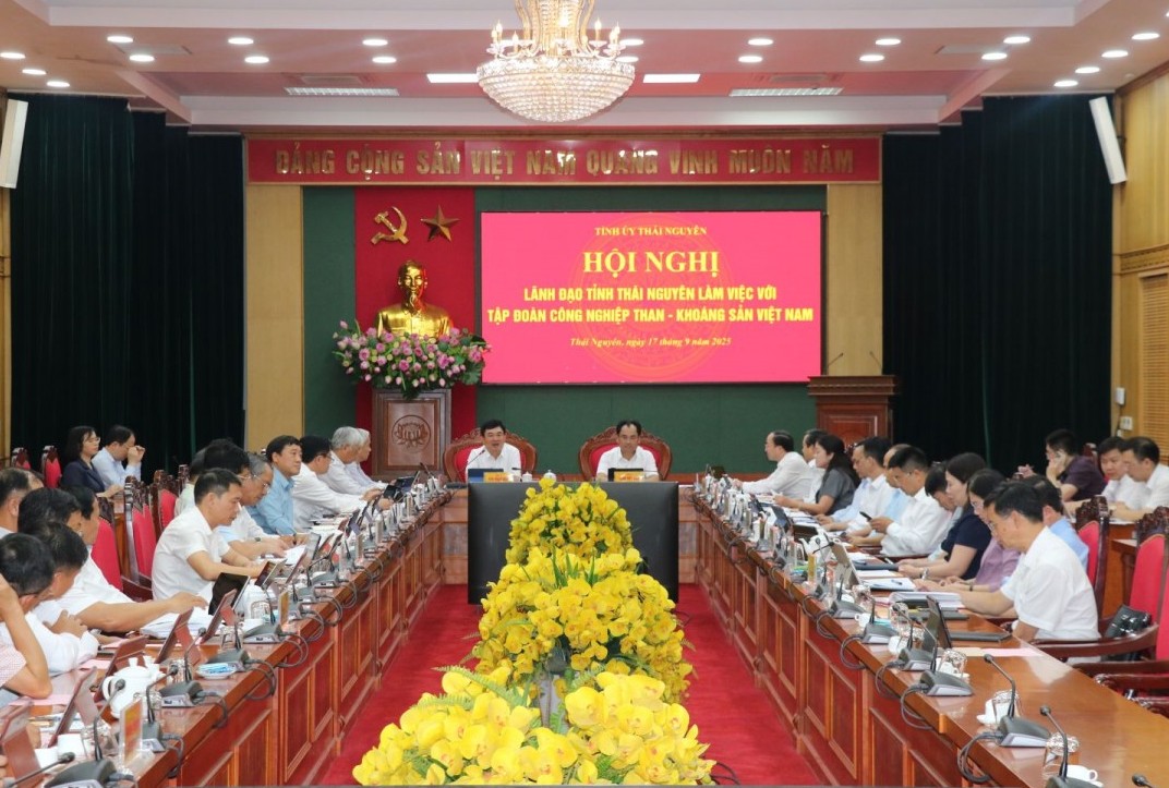 Tình hình hoạt động sản xuất, kinh doanh của TKV tại tỉnh Thái Nguyên