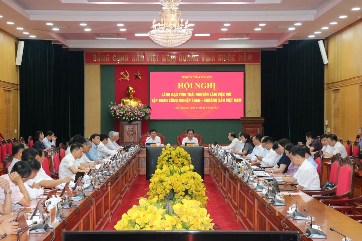 Tình hình hoạt động sản xuất, kinh doanh của TKV tại tỉnh Thái Nguyên
