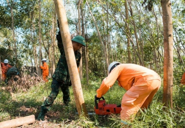 PC Nghệ An giải phóng hành lang an toàn, xử lý khiếm khuyết lưới điện cao áp