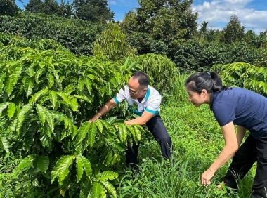 PVFCCo - Phú Mỹ: 21 năm bền bỉ truyền thống sáng tạo, gắn kết và sẻ chia