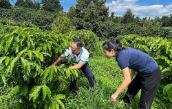 PVFCCo - Phú Mỹ: 21 năm bền bỉ truyền thống sáng tạo, gắn kết và sẻ chia