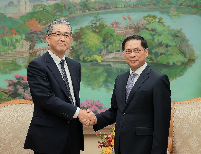 Phó Thủ tướng Bùi Thanh Sơn tiếp Tổng Giám đốc khối điện và hạ tầng toàn cầu Tập đoàn Marubeni