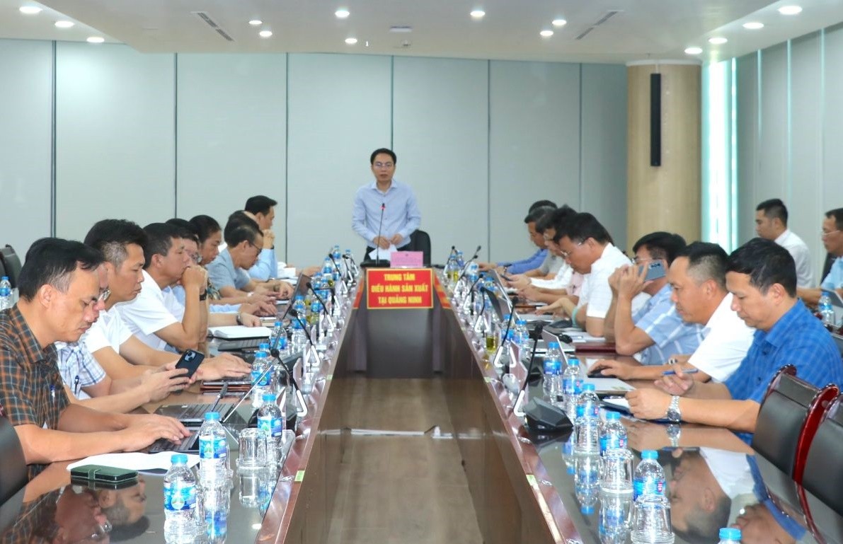 TKV triển khai kế hoạch sản xuất, tiêu thụ than tháng 10/2025