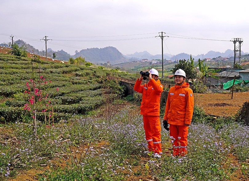 Tổng công ty Điện lực miền Bắc - 56 năm xây dựng và trưởng thành