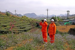 Tổng công ty Điện lực miền Bắc - 56 năm xây dựng và trưởng thành