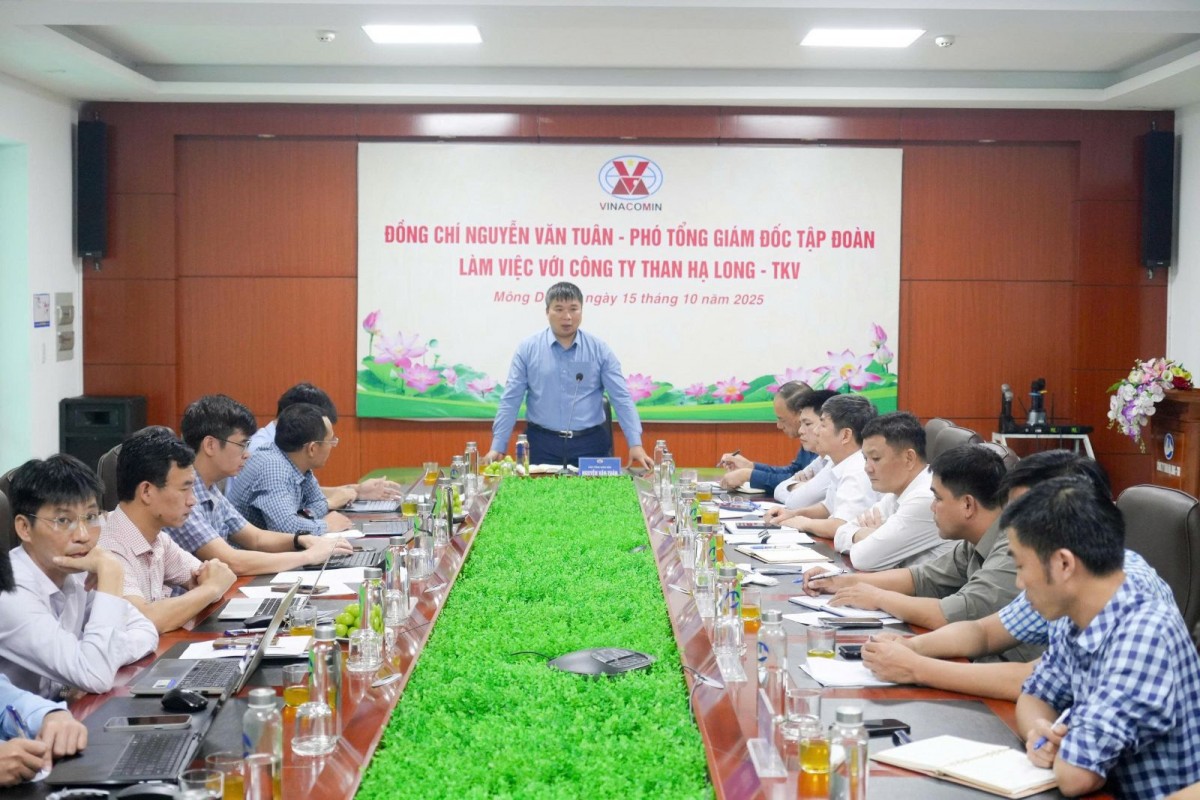 Lãnh đạo TKV kiểm tra công tác kỹ thuật, an toàn và làm việc với Than Hạ Long