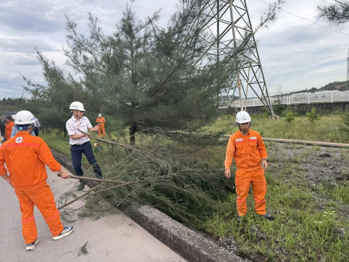Công ty Nhiệt điện Mông Dương chủ động phòng chống mưa bão Công ty Nhiệt điện Mông Dương chủ động phòng chống mưa bão
