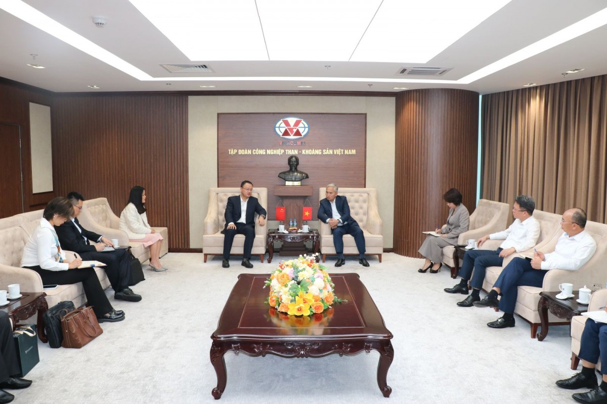 TKV làm việc với Công ty HHCP Xây dựng Kim loại màu Trung Quốc