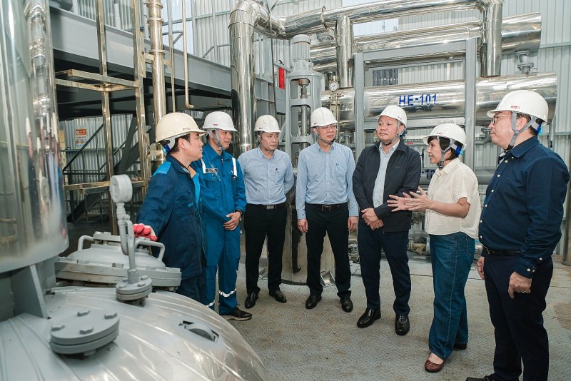 BSR đẩy nhanh tiến độ dự án nhiên liệu diesel sinh học từ phế phụ phẩm và vi tảo