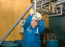 BSR đẩy nhanh tiến độ dự án nhiên liệu diesel sinh học từ phế phụ phẩm và vi tảo