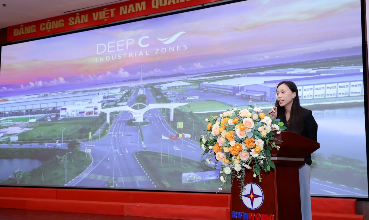 Giải pháp chính sách, công nghệ phát triển lưu trữ năng lượng và điện mặt trời khu công nghiệp tại Việt Nam